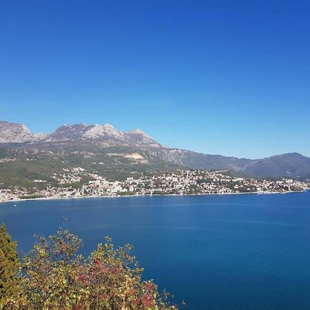 Apartment Miki Herceg Novi Zewnętrze zdjęcie